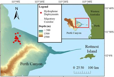 Frontiers | Vocalizing humpback whales (Megaptera novaeangliae